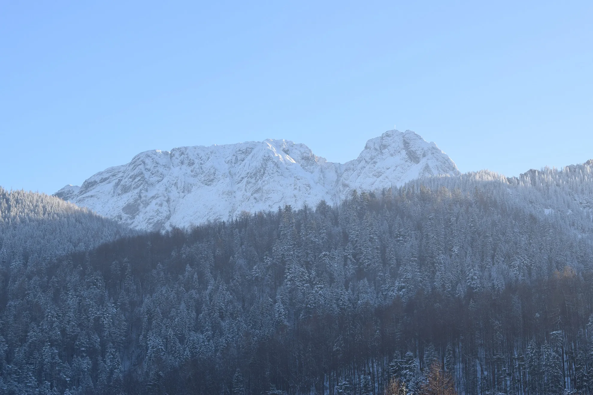 Zimowy widok na Giewont i tatrzański las
